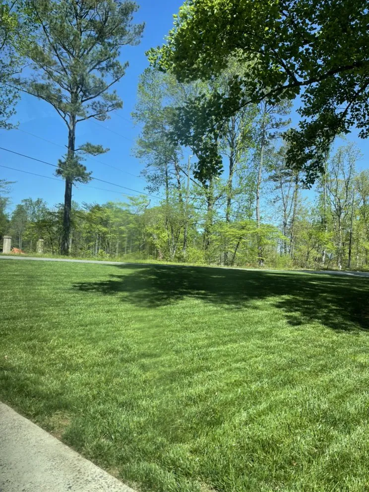 Local landscape design in Atlanta, GA - Rvr landscape