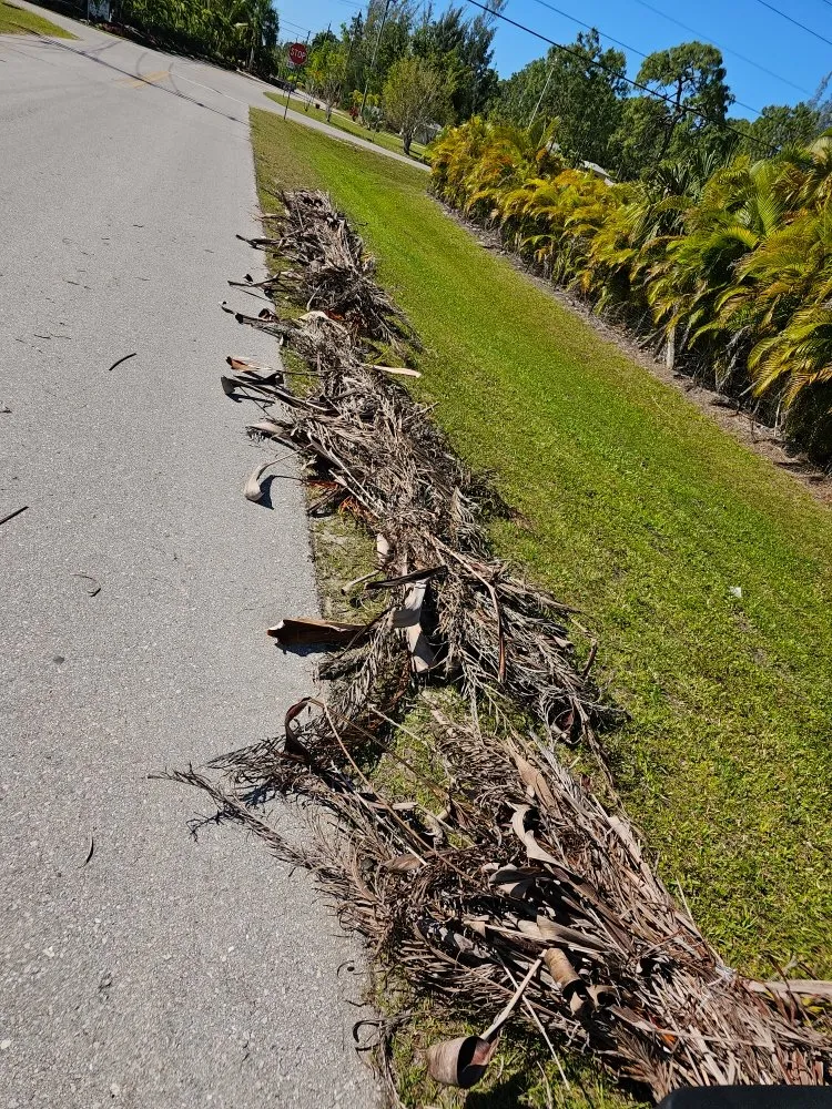 Trusted yard cleanup service with custom design across Fort Myers, FL - RVS Lawn Care