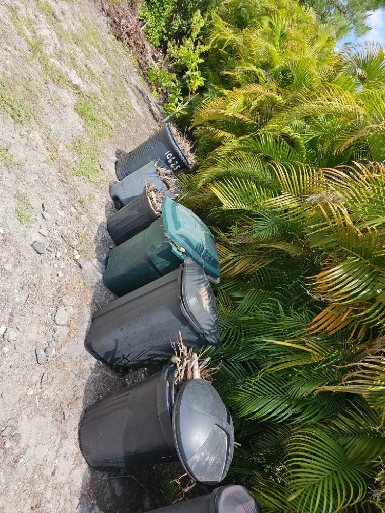 Affordable residential landscaping for outdoor upgrades across Fort Myers, FL - RVS Lawn Care