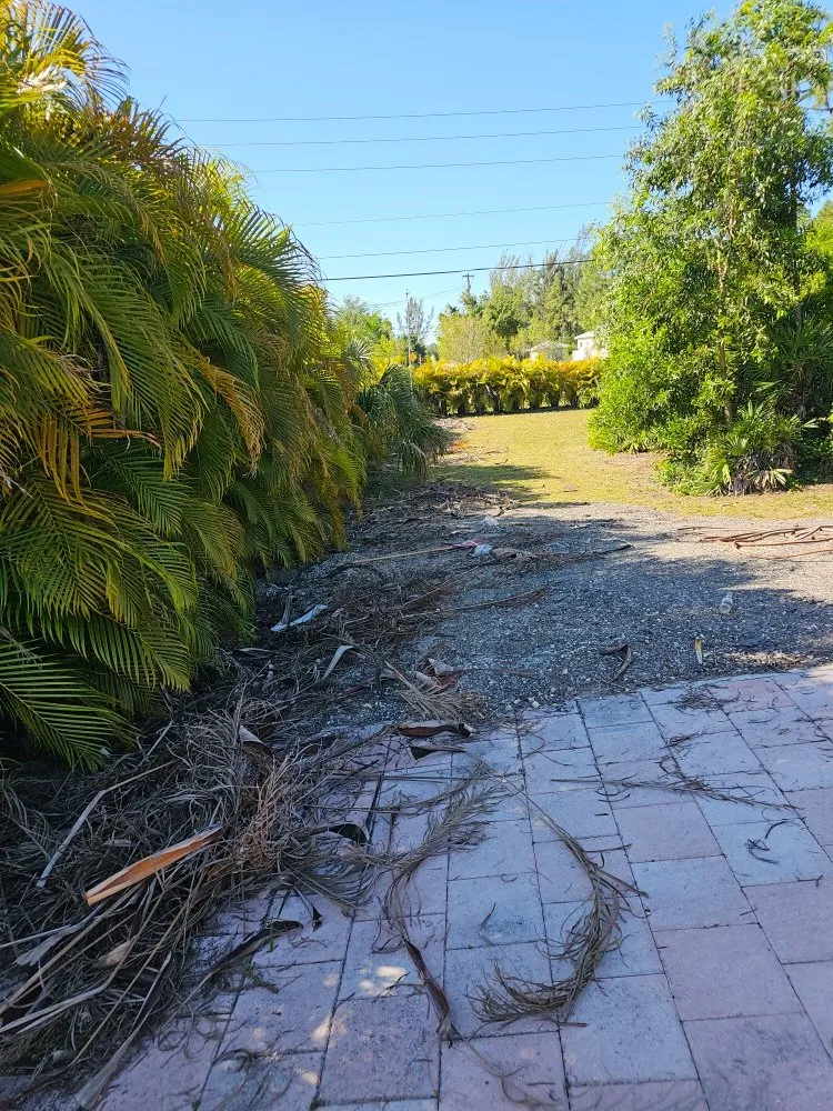 Professional lawn mowing service in Fort Myers, FL - RVS Lawn Care