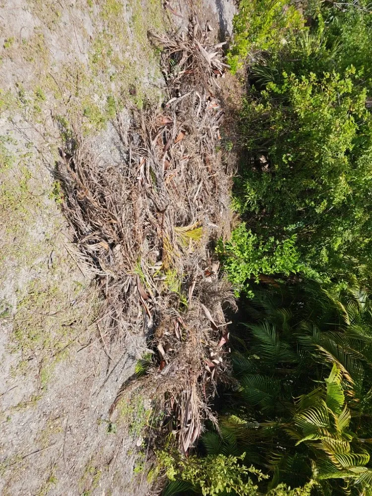 Custom landscape installation in Fort Myers, FL by RVS Lawn Care