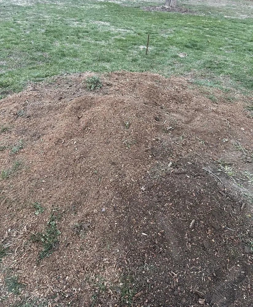 Expert landscape installation in Leslie, MO - R&W Services