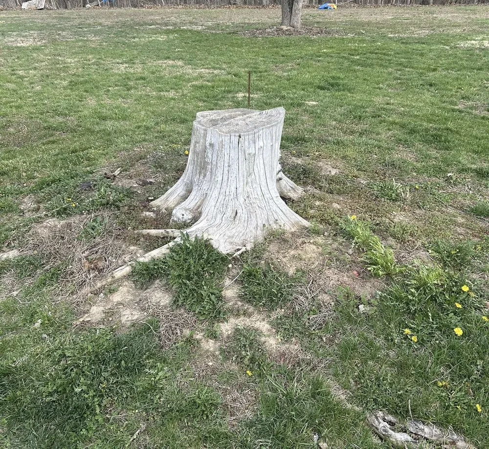Local landscape installation in Leslie, MO by R&W Services