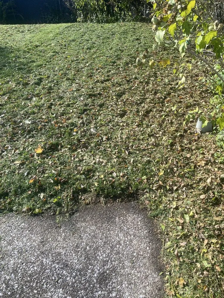 Affordable landscape design in Syracuse, NY - RW Snow And Lawn Removal And Cleanouts