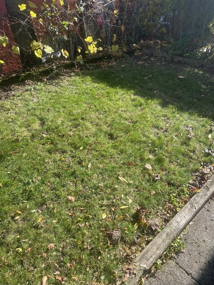 Reliable residential landscaping experts serving Syracuse, NY - RW Snow And Lawn Removal And Cleanouts