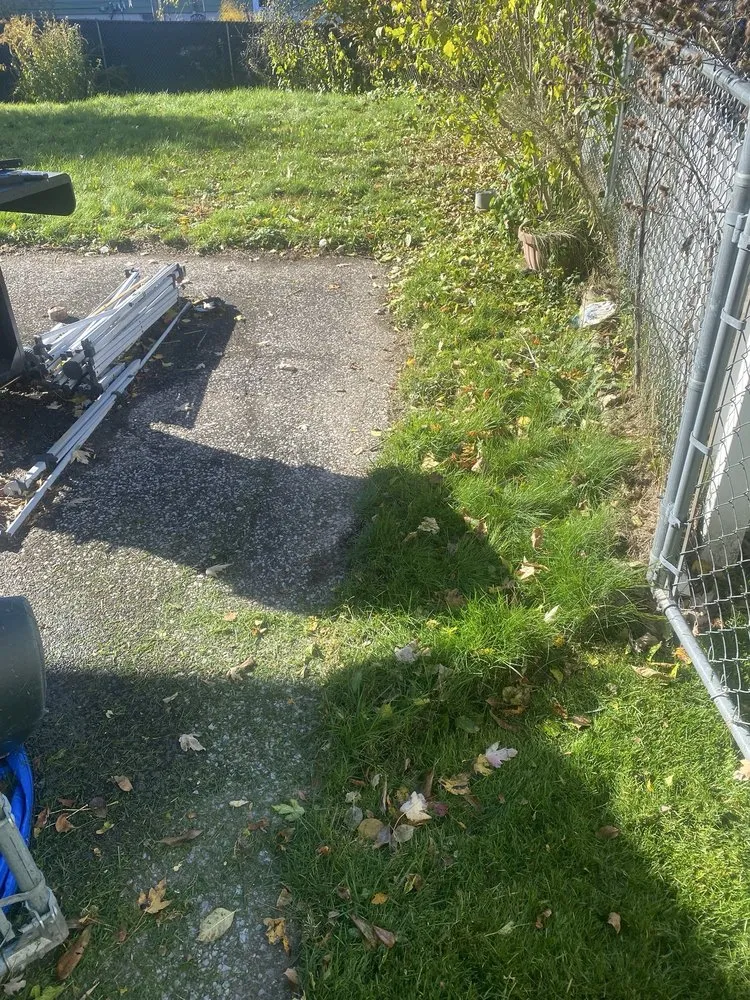 Custom lawn care service for homes in Syracuse, NY by RW Snow And Lawn Removal And Cleanouts