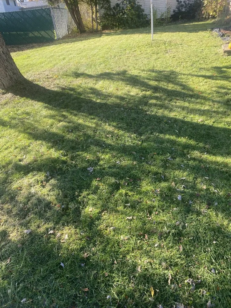 Local yard cleanup service in Syracuse, NY by RW Snow And Lawn Removal And Cleanouts