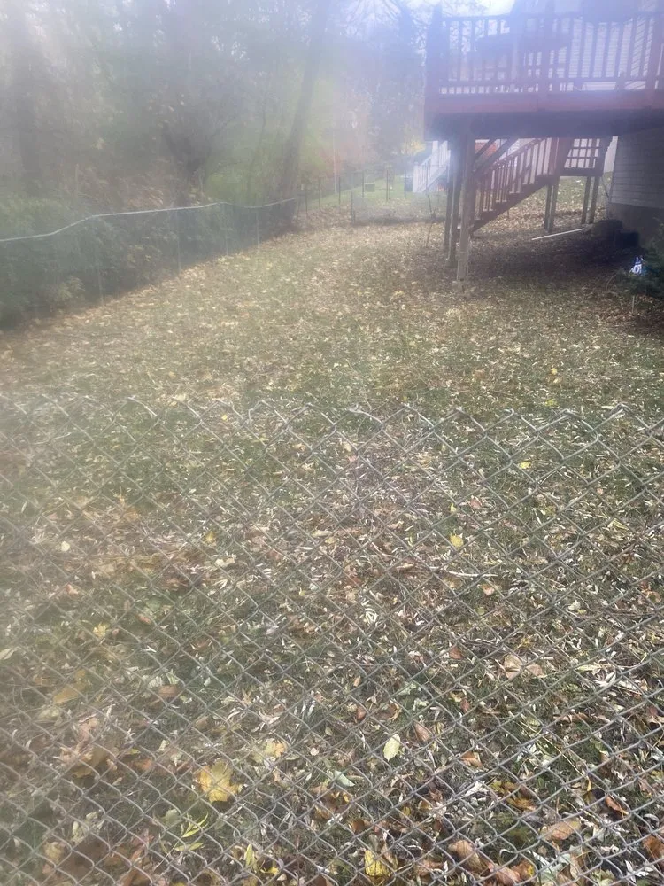 Reliable outdoor landscaping in Syracuse, NY - RW Snow And Lawn Removal And Cleanouts