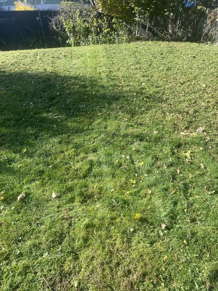 Trusted landscaping services with custom design across Syracuse, NY - RW Snow And Lawn Removal And Cleanouts