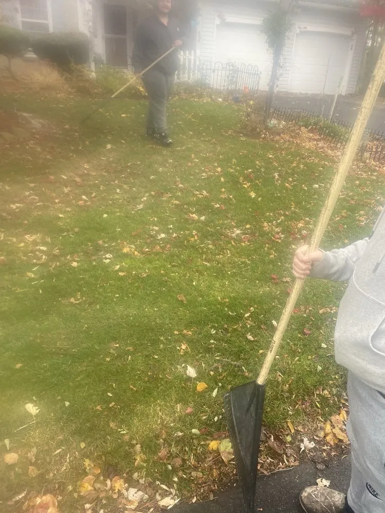 Affordable outdoor landscaping in Syracuse, NY by RW Snow And Lawn Removal And Cleanouts