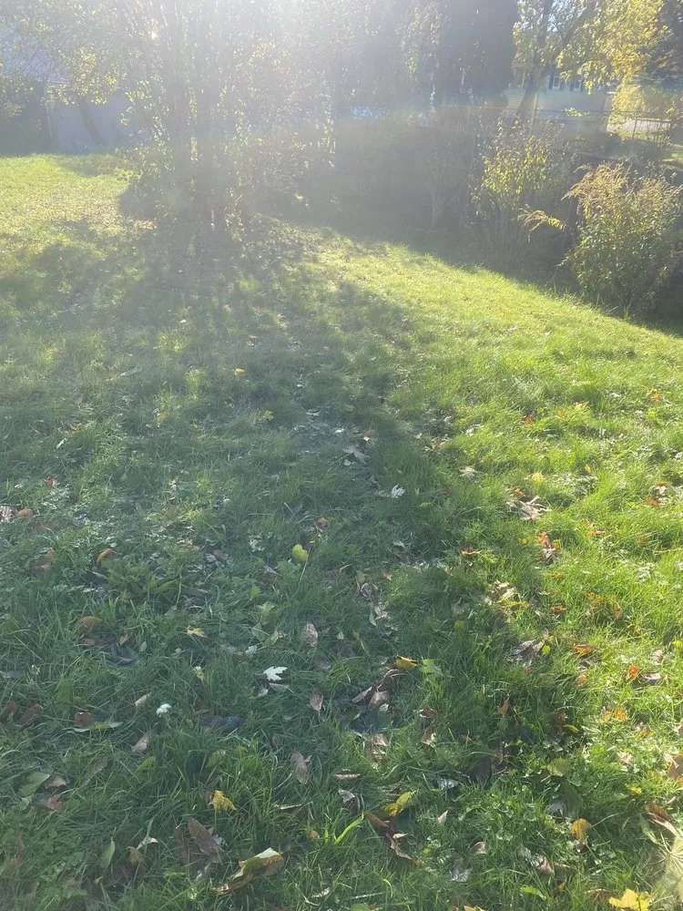 Expert lawn care service for outdoor upgrades across Syracuse, NY - RW Snow And Lawn Removal And Cleanouts