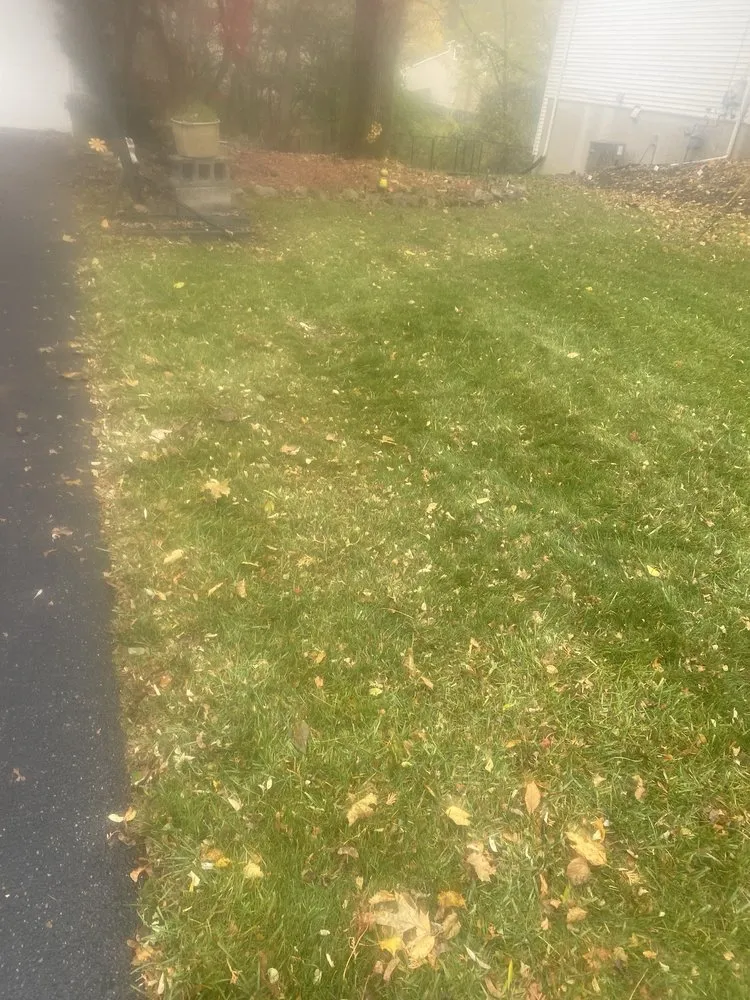 Professional yard cleanup service for year-round maintenance across Syracuse, NY - RW Snow And Lawn Removal And Cleanouts