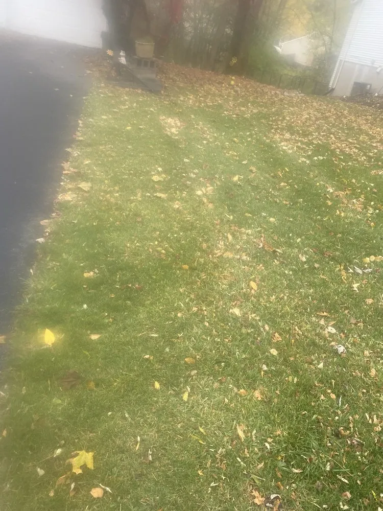 Affordable landscape design experts serving Syracuse, NY - RW Snow And Lawn Removal And Cleanouts