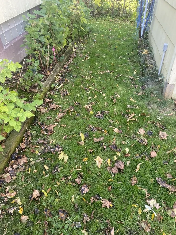 Expert landscape design experts serving Syracuse, NY - RW Snow And Lawn Removal And Cleanouts