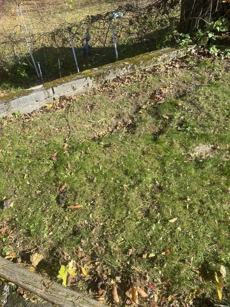 Trusted landscape installation in Syracuse, NY - RW Snow And Lawn Removal And Cleanouts