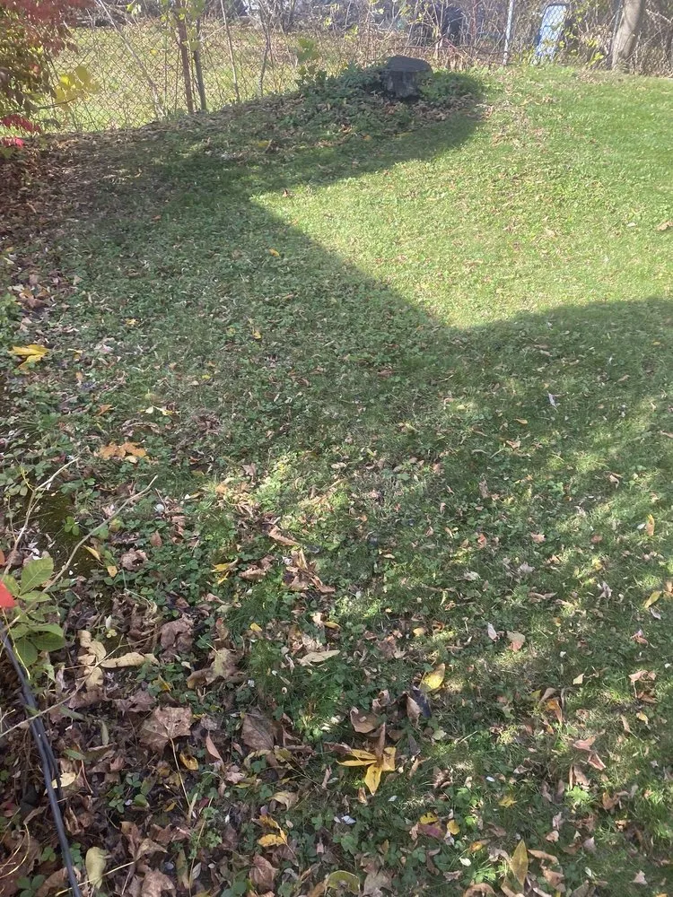 Expert lawn care service experts serving Syracuse, NY - RW Snow And Lawn Removal And Cleanouts