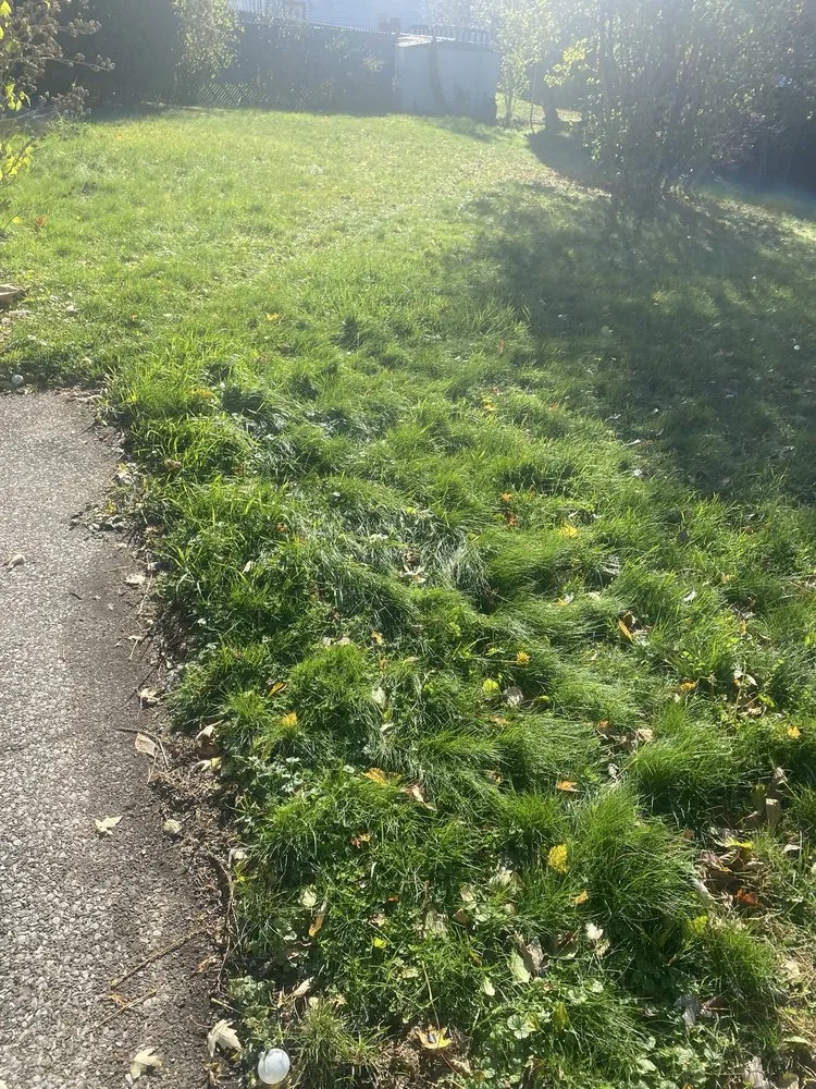 Trusted lawn care service experts serving Syracuse, NY - RW Snow And Lawn Removal And Cleanouts