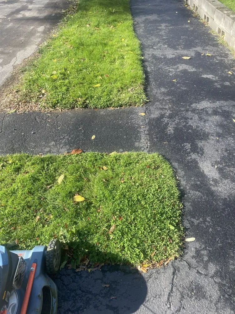 Expert landscaping services experts serving Syracuse, NY - RW Snow And Lawn Removal And Cleanouts