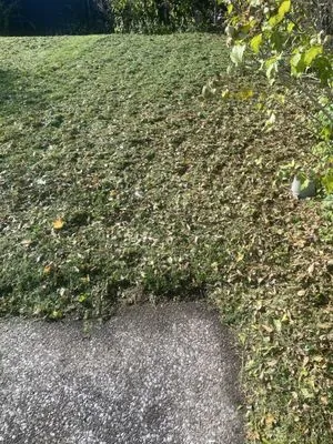 RW Snow And Lawn Removal And Cleanouts Logo