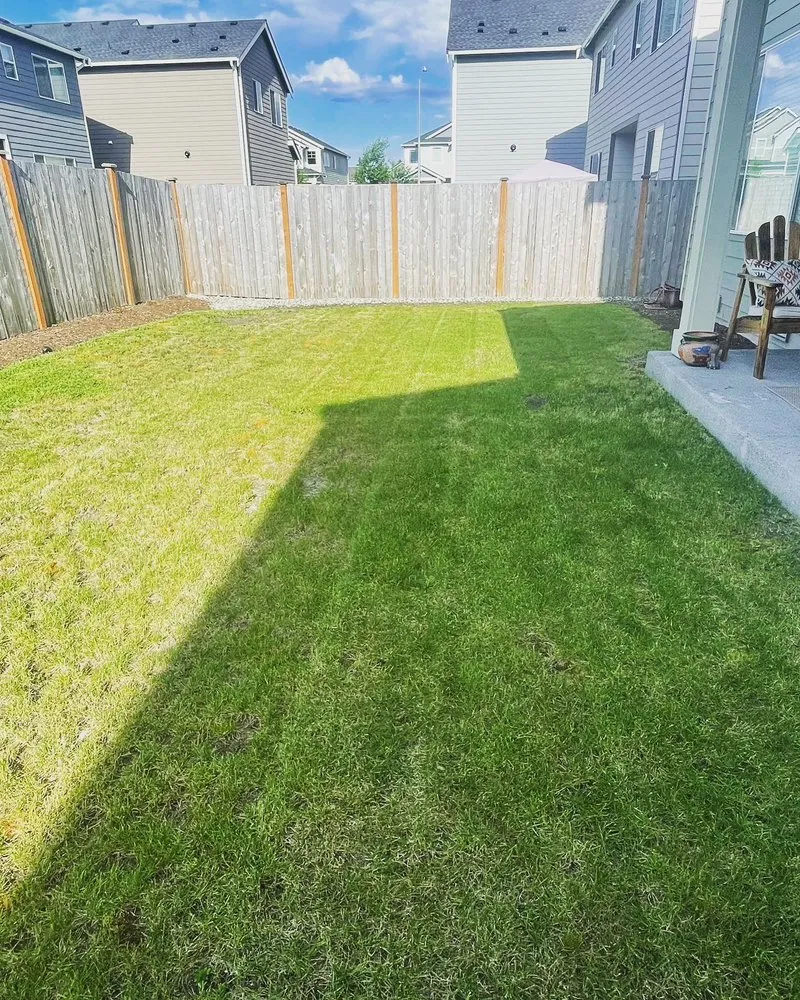 Custom yard cleanup service for outdoor upgrades in Puyallup, WA by RWC