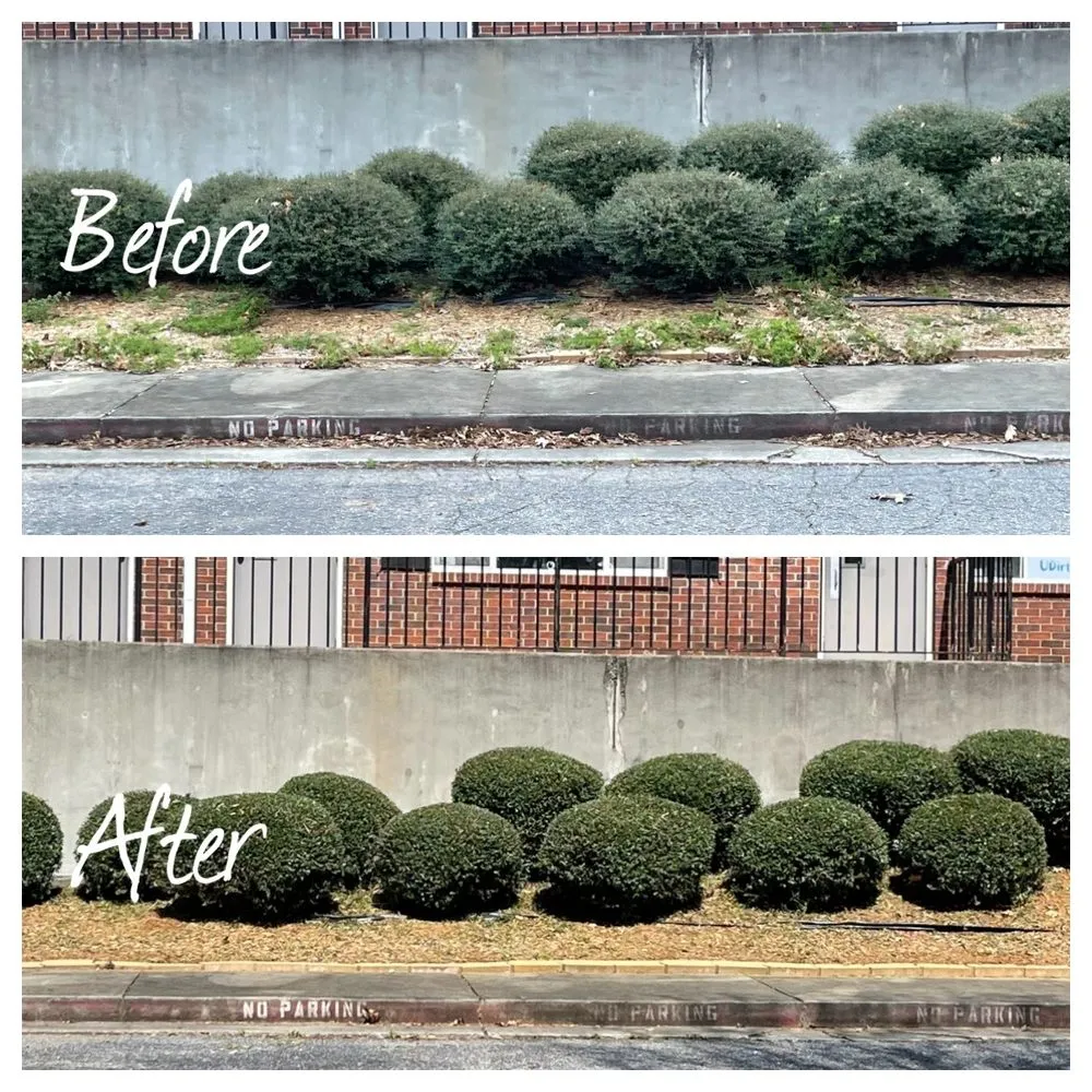 Custom landscaping services in Newnan, GA - RWS Lawn Service