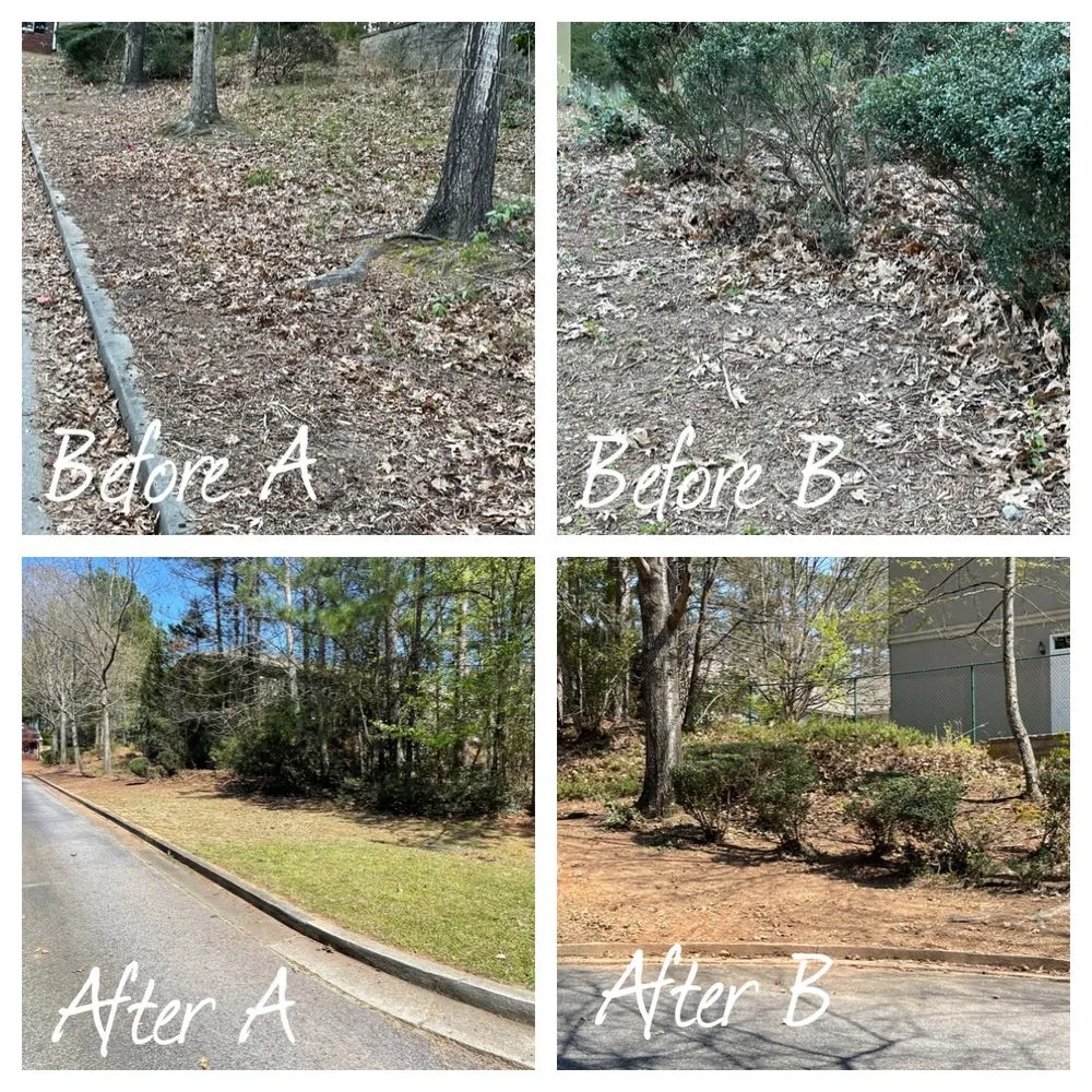 Top-rated yard cleanup service with custom design in Newnan, GA by RWS Lawn Service