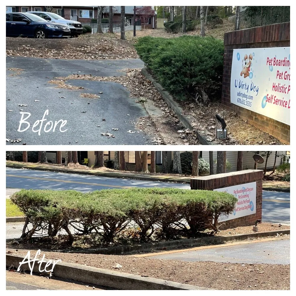 Expert yard cleanup service in Newnan, GA - RWS Lawn Service