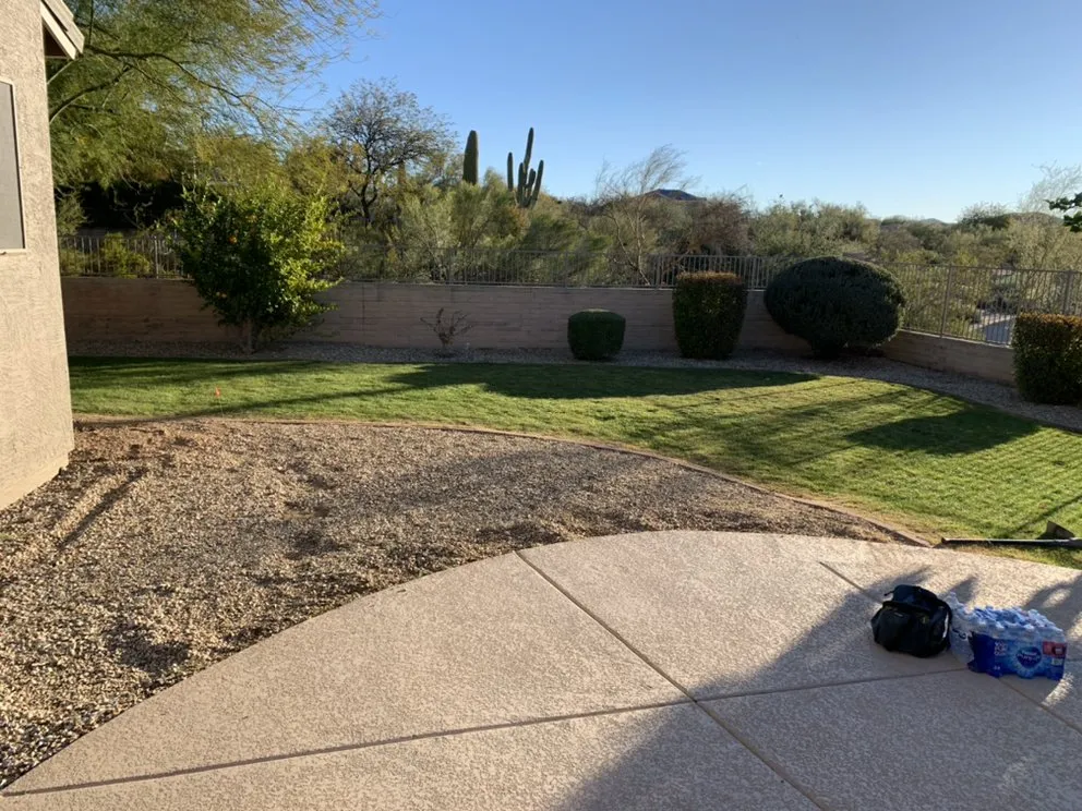 Professional landscape design near you across Phoenix, AZ - RX Landscape