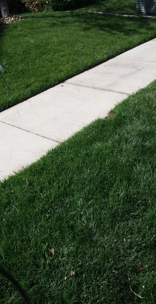 Affordable landscape design for outdoor upgrades in Manteca, CA by RX Lawn Care Solutions