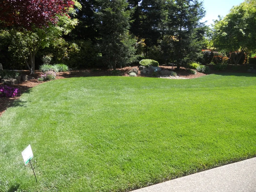 Local residential landscaping in Manteca, CA by RX Lawn Care Solutions