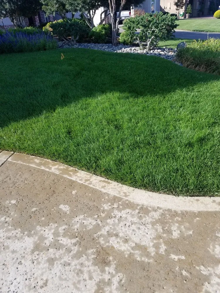 Affordable residential landscaping experts serving Manteca, CA - RX Lawn Care Solutions