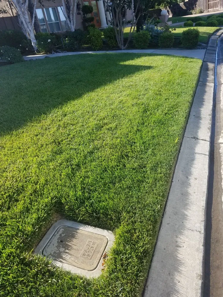 Local landscape installation experts serving Manteca, CA - RX Lawn Care Solutions