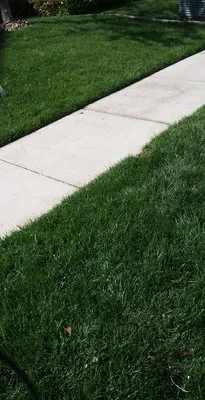 RX Lawn Care Solutions Logo