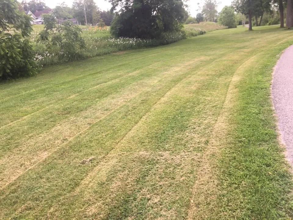 Reliable outdoor landscaping with custom design across Mission, TX - RXG Lawncare Services