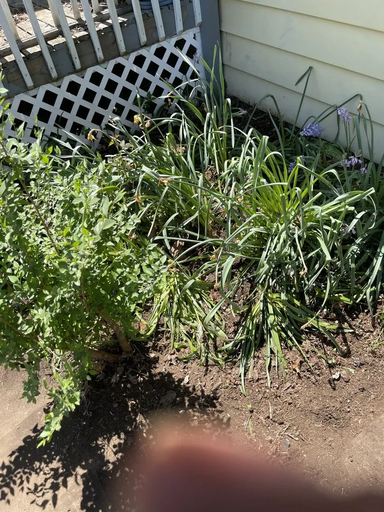 Reliable landscaping services for homes across Conneaut, OH - Ryan B’s Landscape