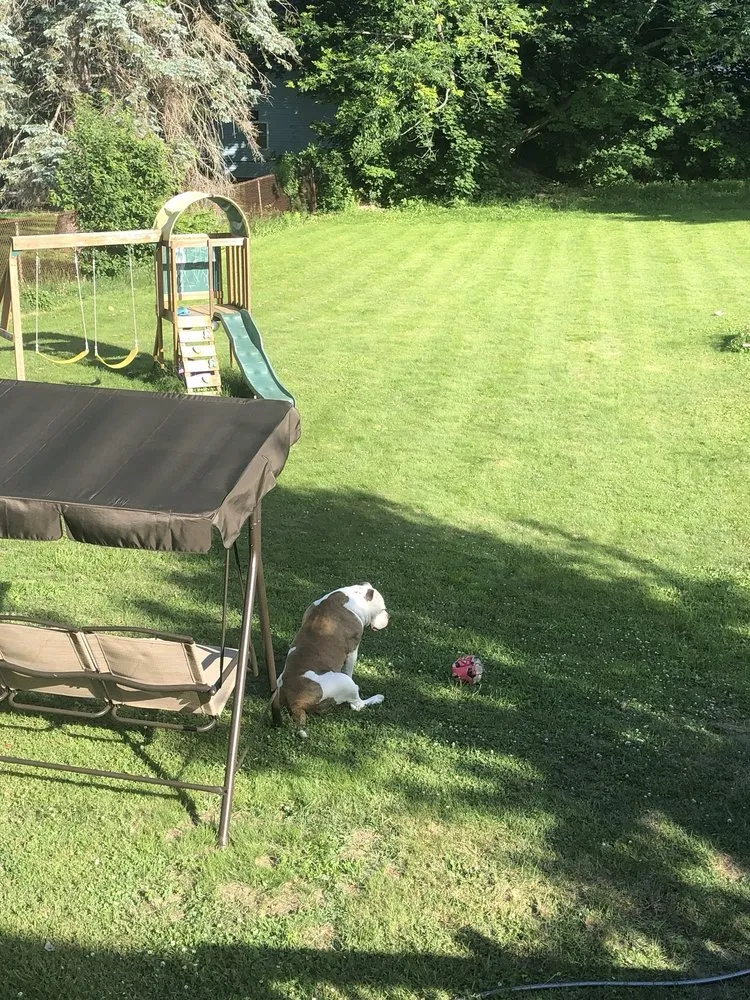 Trusted lawn mowing service experts serving Lebanon, ME - Ryan Heriot Lawn Care Snow Plowing