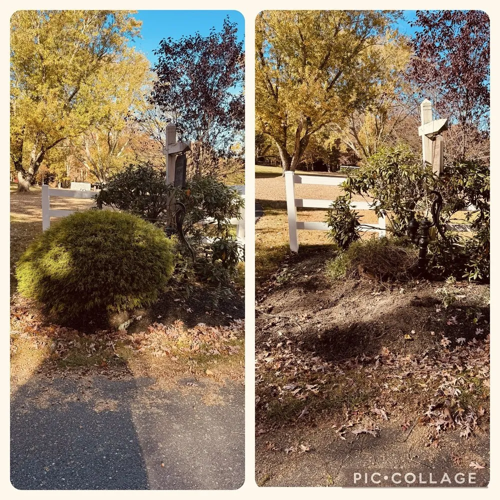 Expert lawn mowing service in Egg Harbor City, NJ - Ryan Joseph Services