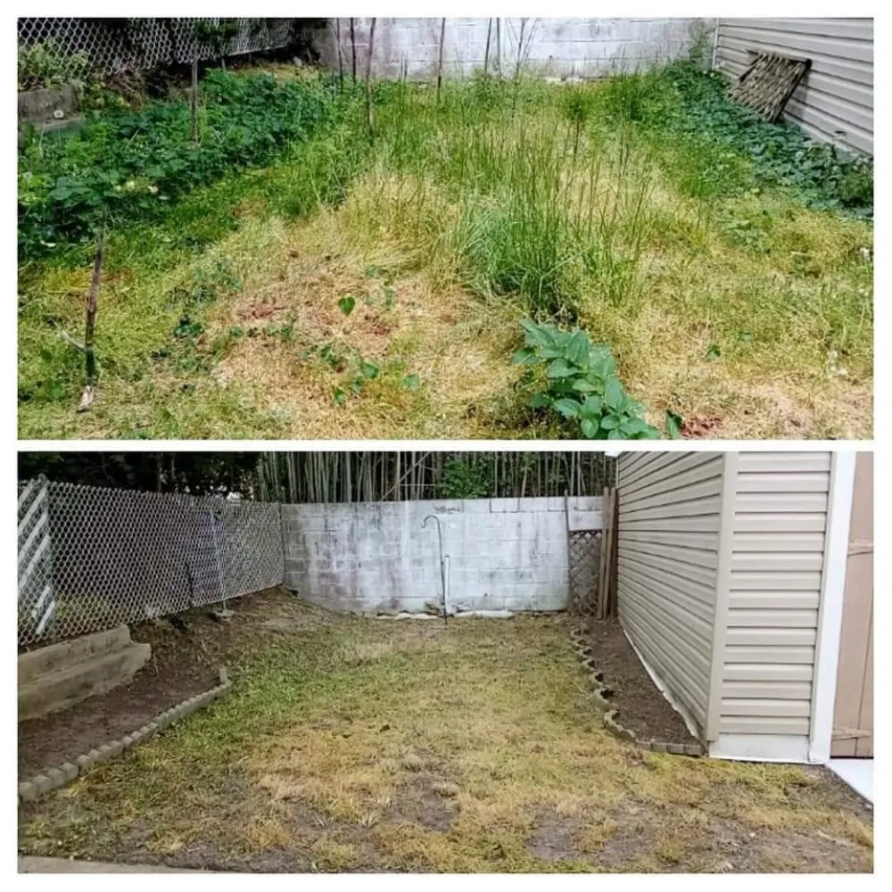 Expert lawn mowing service for homes in Egg Harbor City, NJ by Ryan Joseph Services