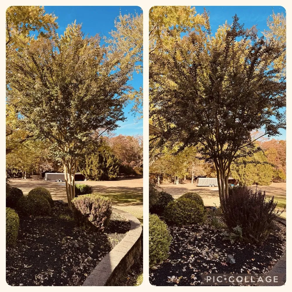 Top-rated landscape design experts serving Egg Harbor City, NJ - Ryan Joseph Services