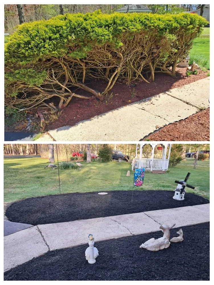 Expert residential landscaping in Egg Harbor City, NJ by Ryan Joseph Services