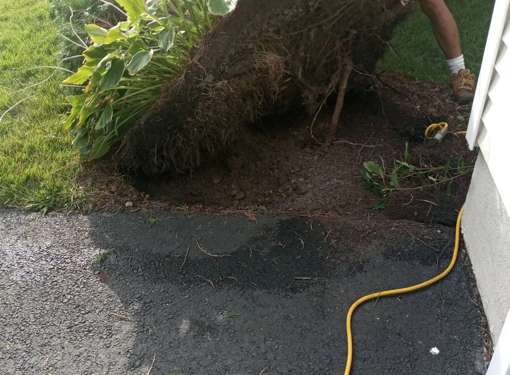 Professional landscape installation in Egg Harbor City, NJ by Ryan Joseph Services