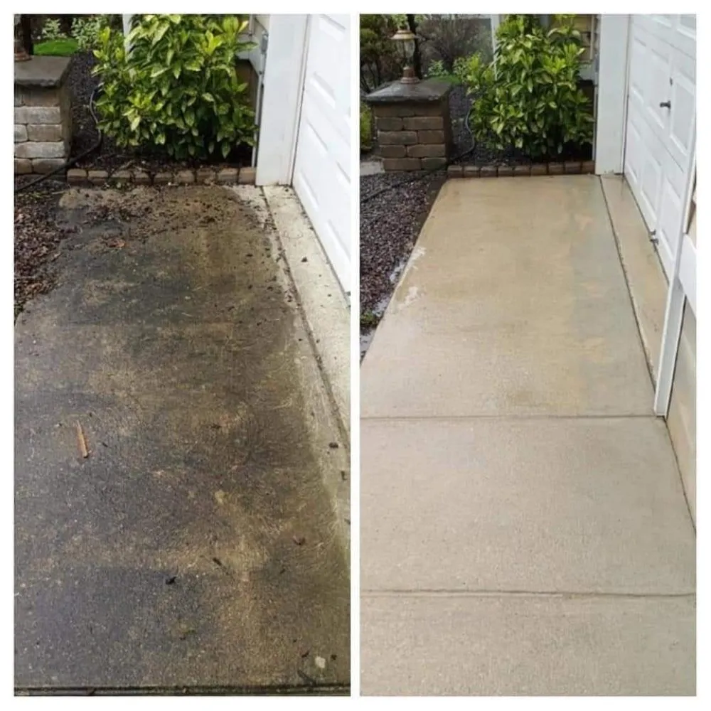 Professional yard cleanup service in Egg Harbor City, NJ by Ryan Joseph Services