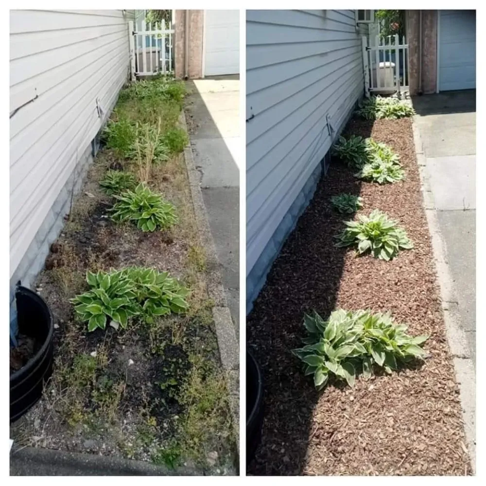 Professional landscaping services in Egg Harbor City, NJ - Ryan Joseph Services