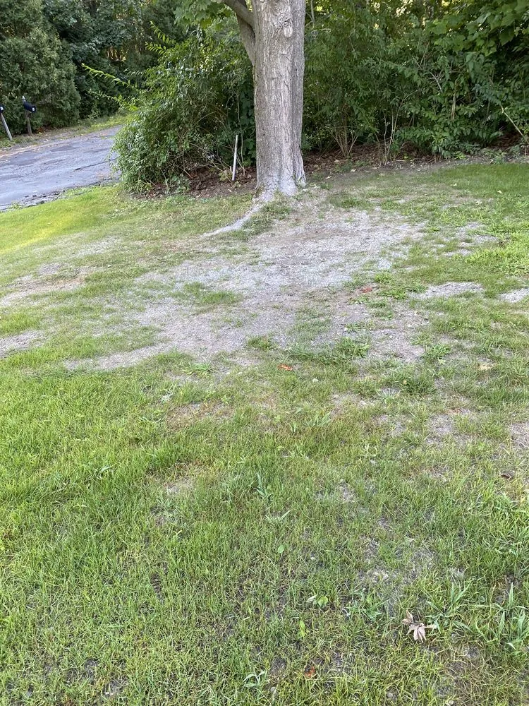 Expert yard cleanup service for beautiful yards in Pittsfield, MA by Ryan Landscaping & Lawn Care