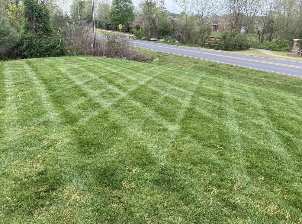 Reliable residential landscaping for residential properties in Rock Hill, SC by Ryan Landscaping Services