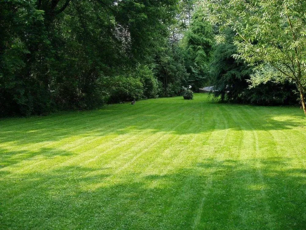 Professional lawn mowing service for homes across Chesterfield, MO - Ryan Lawn & Tree