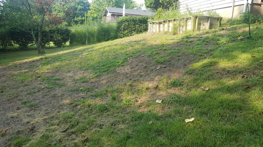 Trusted garden landscaping in Chesterfield, MO - Ryan Lawn & Tree