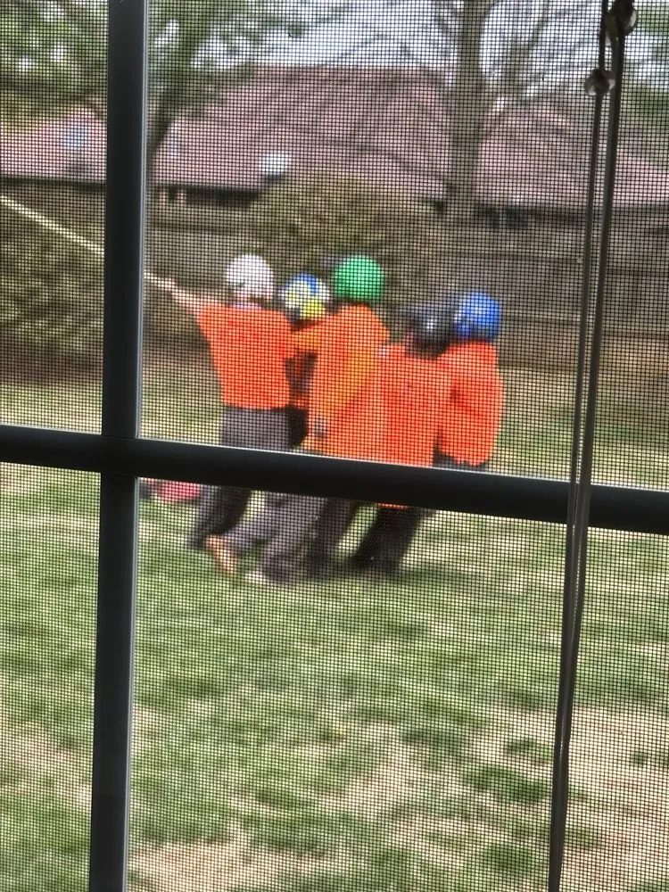 Affordable garden landscaping experts serving Springfield, MO - Ryan Lawn & Tree