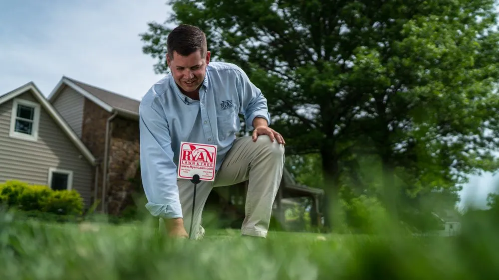 Affordable landscape design in Springfield, MO - Ryan Lawn & Tree