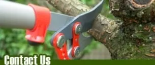 Custom lawn mowing service in Grand Island, NY by Ryan Michaels & Associates